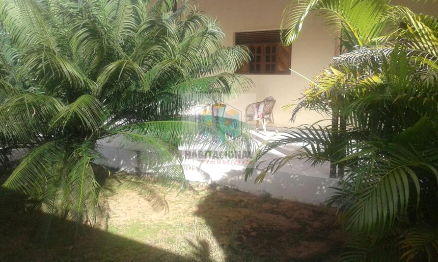 Foto REO659495