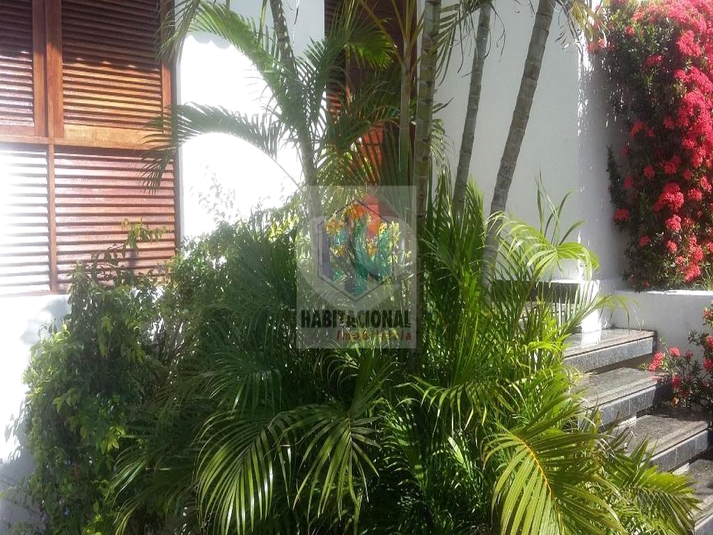 Foto REO659525