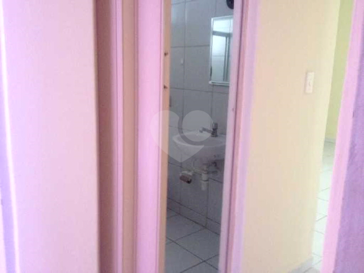 Foto REO659557