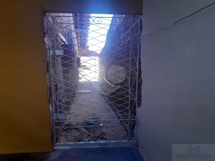Foto REO659559