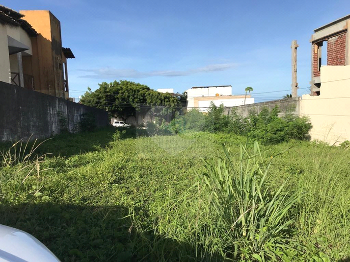 Foto REO659615