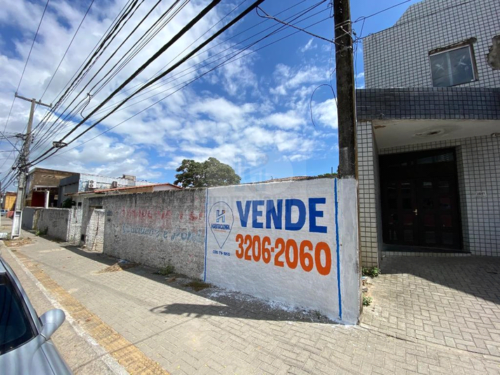 Foto REO659622