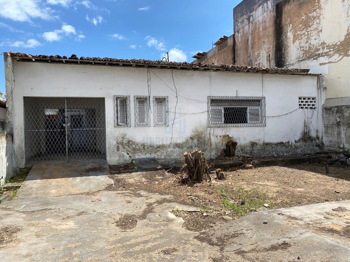 Foto REO659622