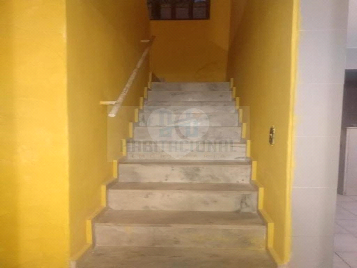 Foto REO659699