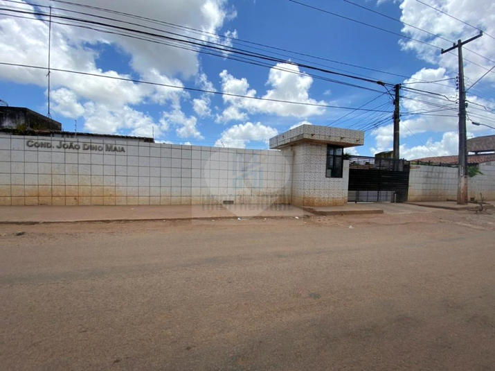 Foto REO659704
