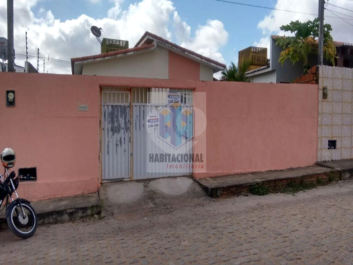 Foto REO659721