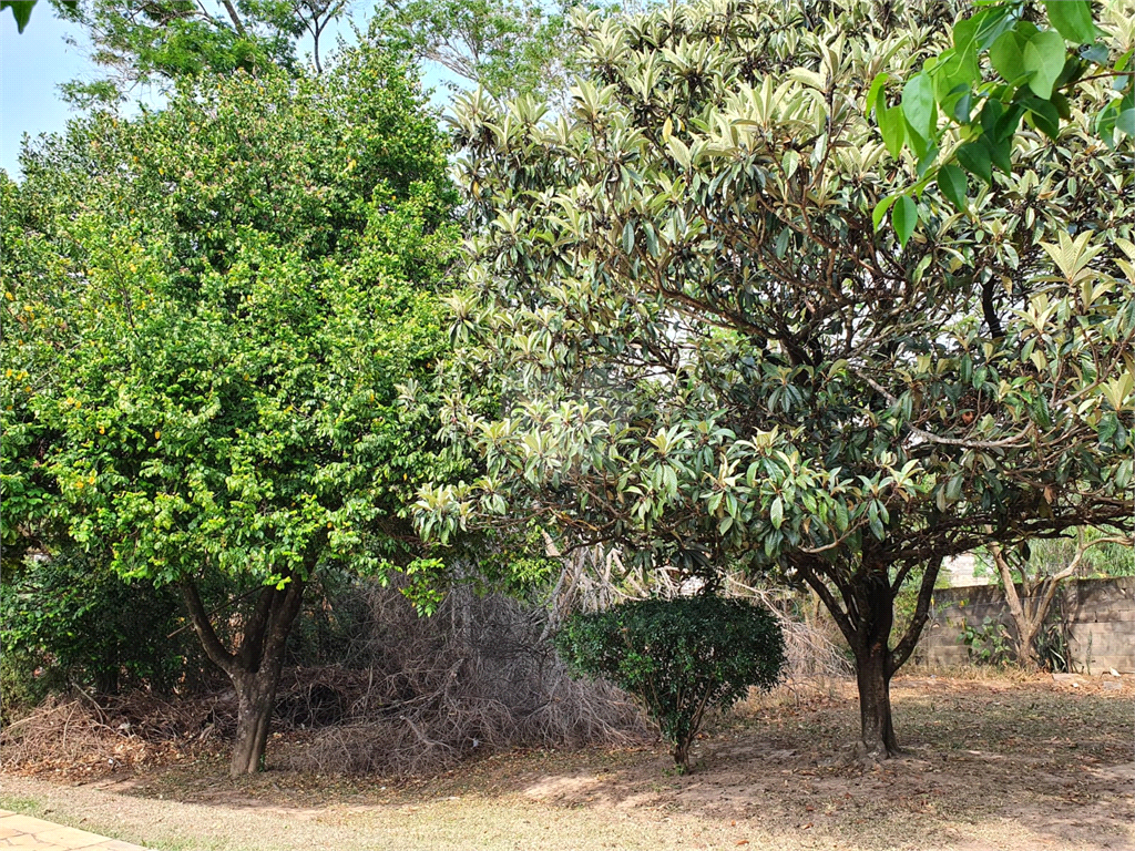 Venda Chácara Valinhos Estância Recreativa San Fernando REO659745 16