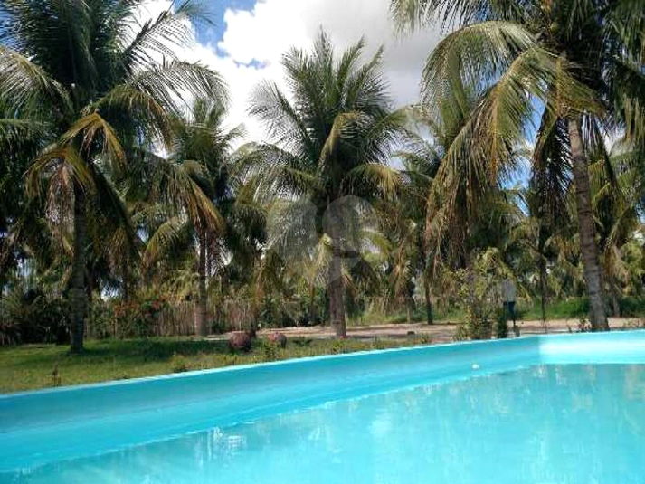Foto REO659770