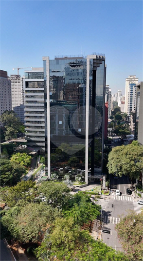 Foto REO659782