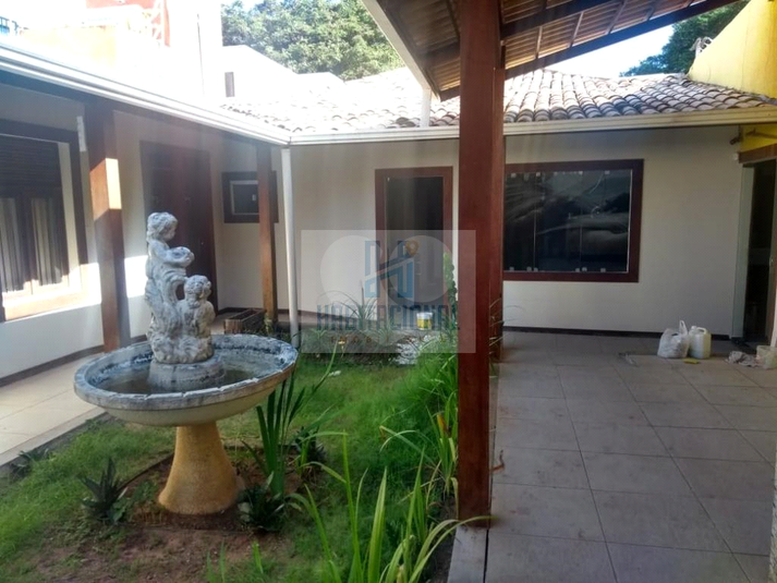 Foto REO659831