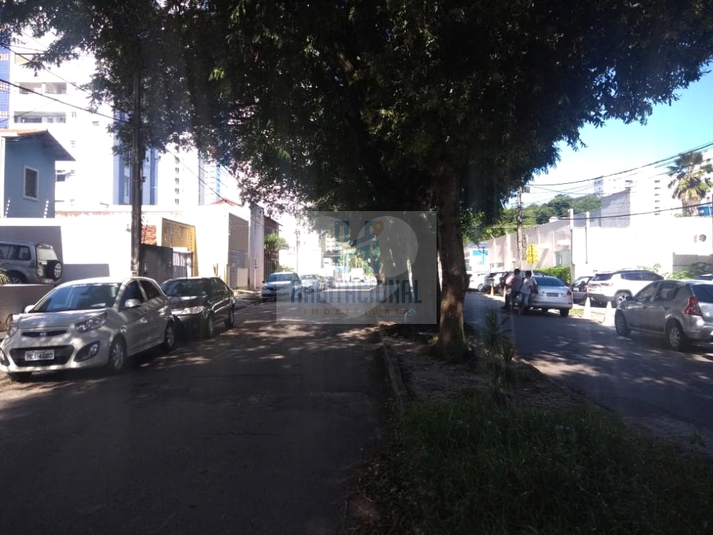 Foto REO659831