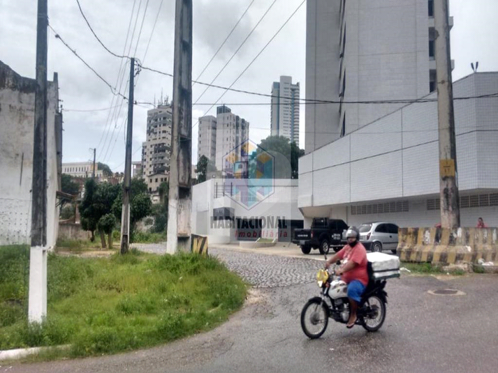 Foto REO659887
