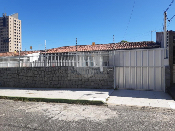 Foto REO659936
