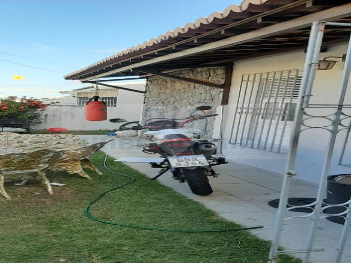 Foto REO659936