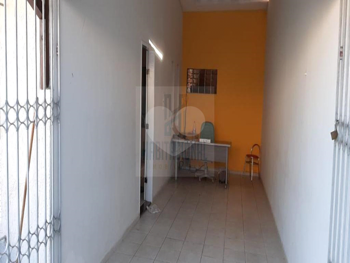 Foto REO659936