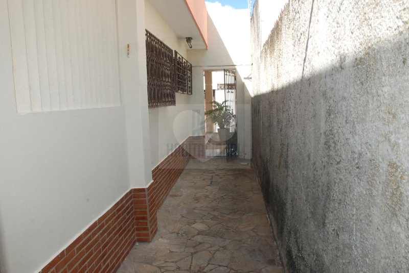 Foto REO659942