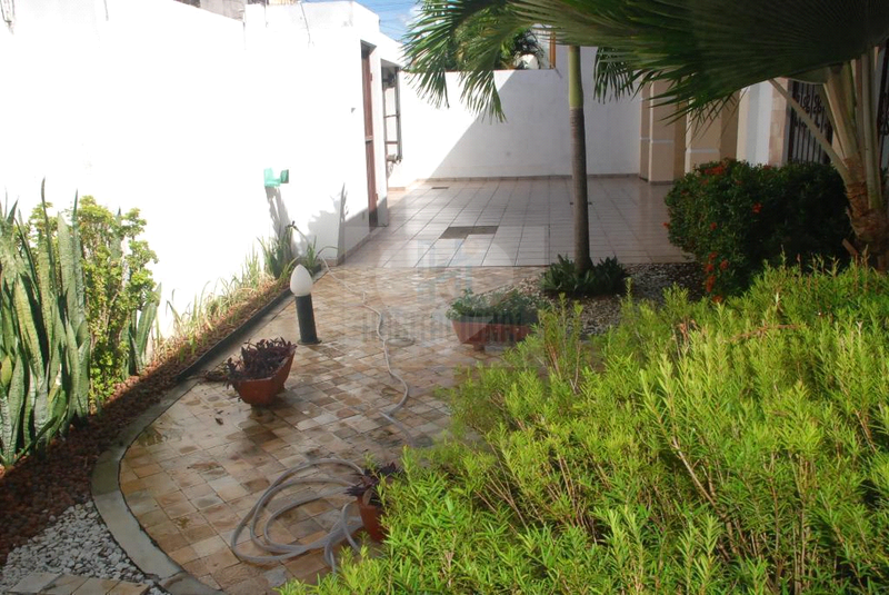 Foto REO659942
