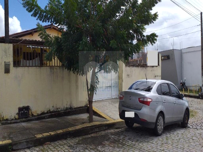 Foto REO659946