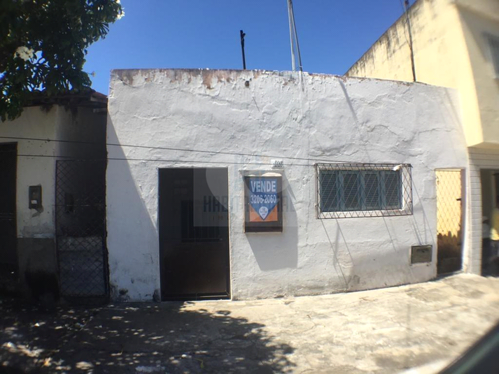 Foto REO659948
