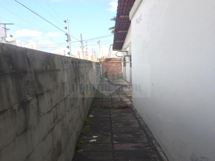 Foto REO659972
