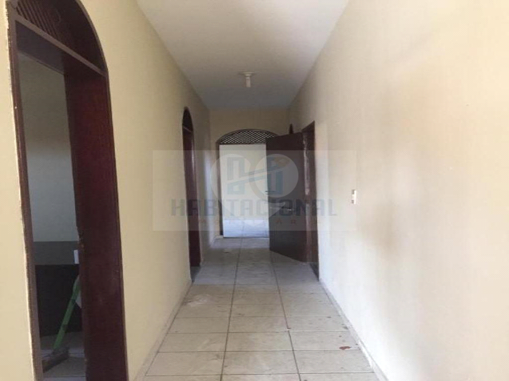 Foto REO659972