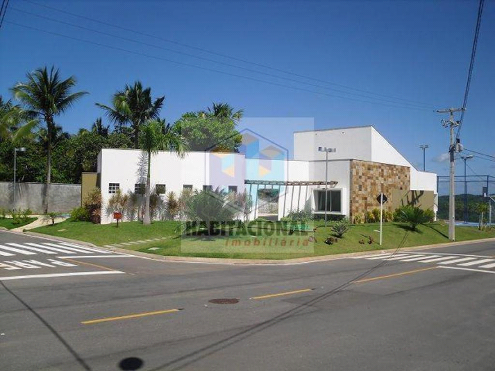 Foto REO659974