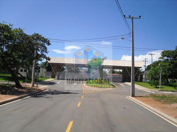 Foto REO659974