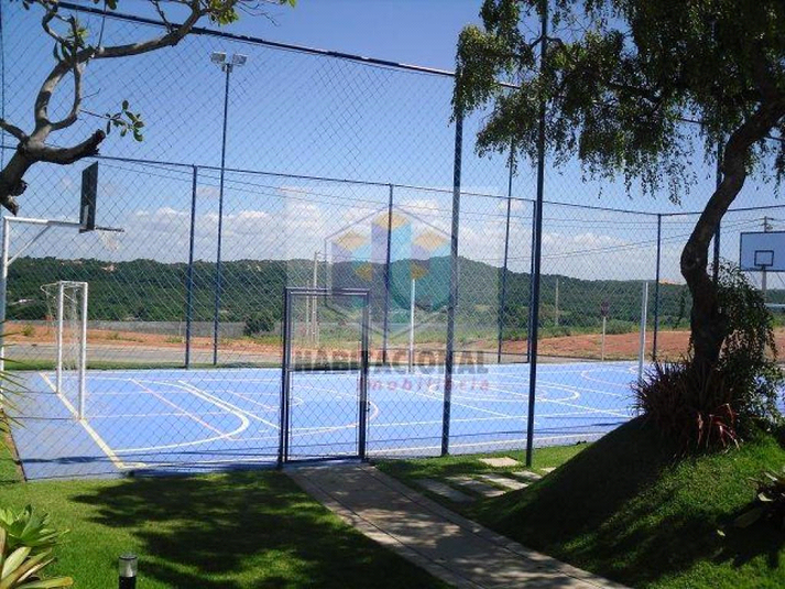 Foto REO659974