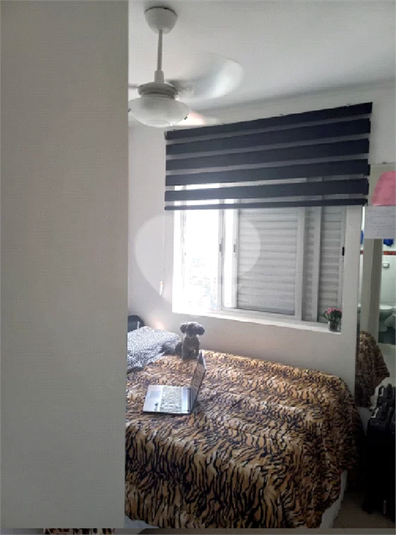 Foto REO660001