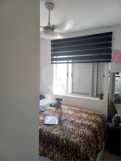 Foto REO660001