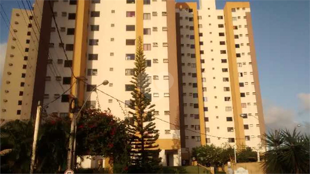 Venda Apartamento Parnamirim Nova Parnamirim REO660006 12