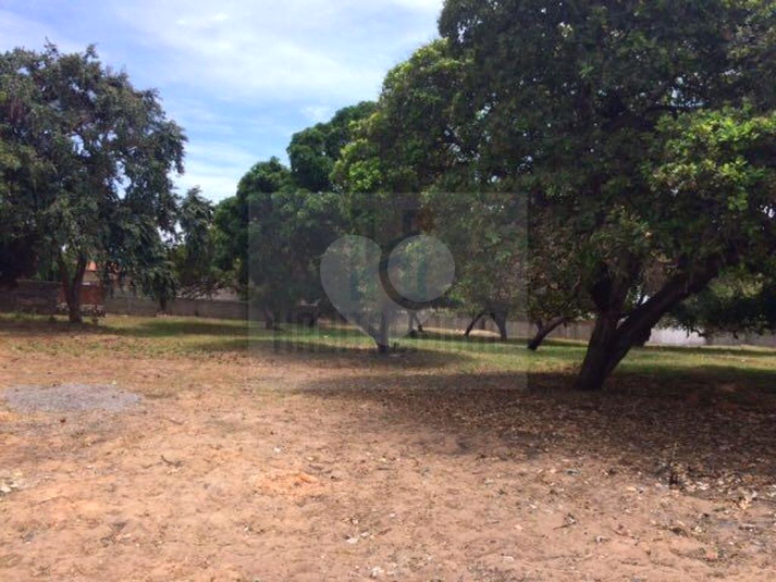 Foto REO660034