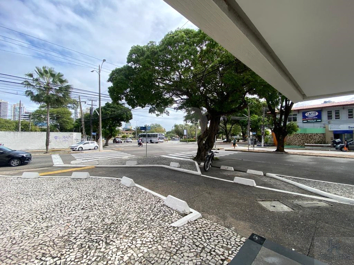 Foto REO660068