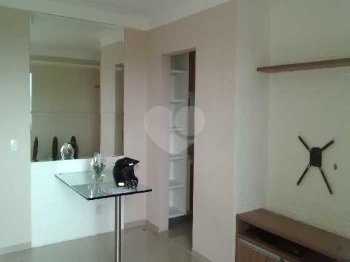 Foto REO660085