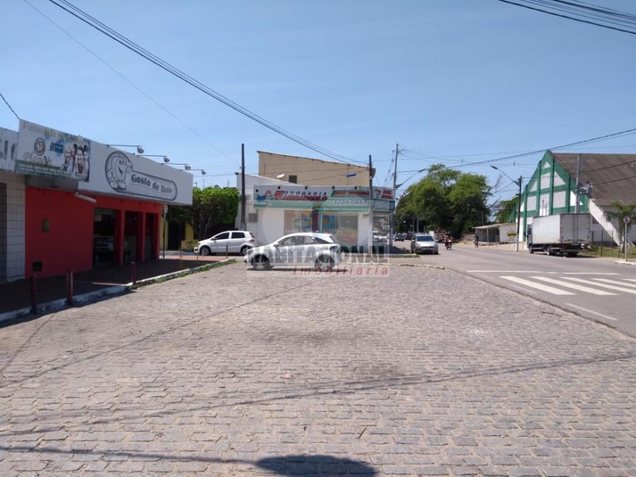 Foto REO660092