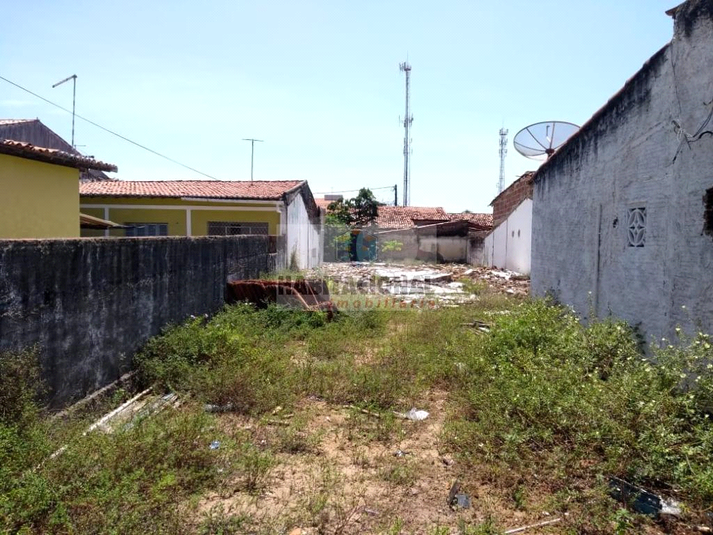 Foto REO660092
