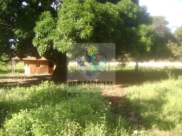 Foto REO660122