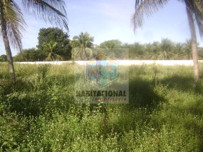 Foto REO660122