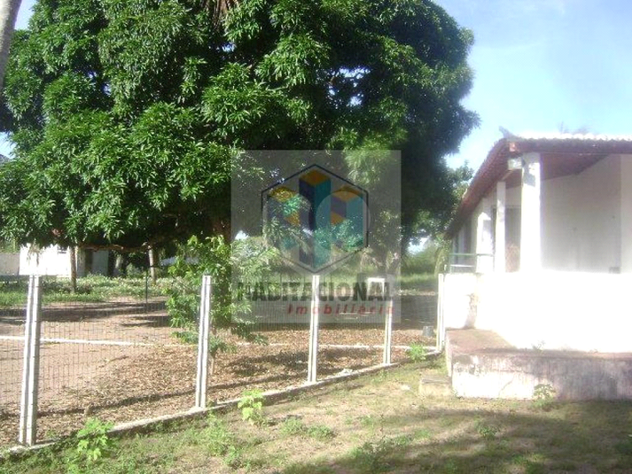 Foto REO660122
