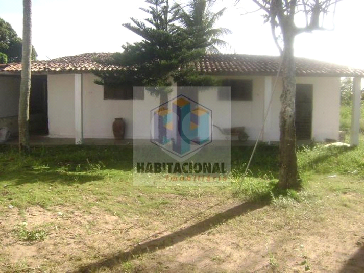 Foto REO660122