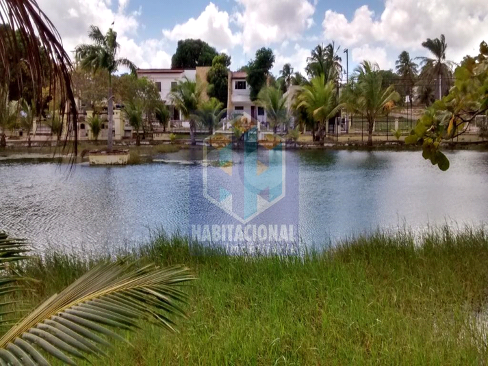 Foto REO660128