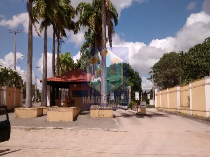 Foto REO660128