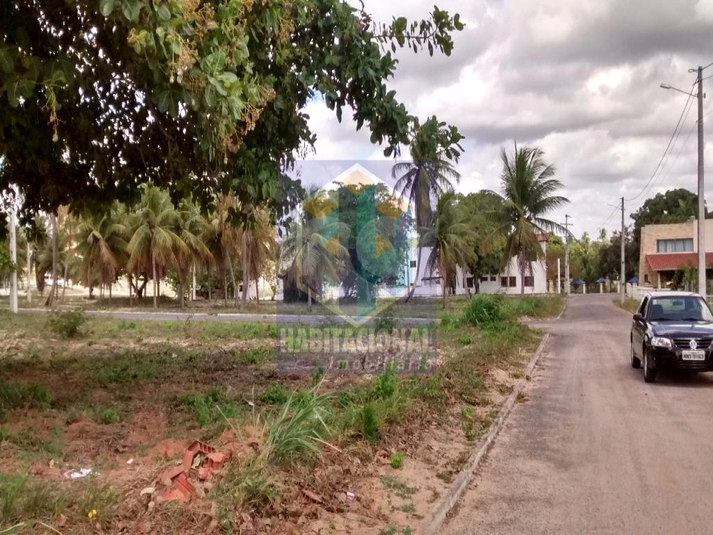 Foto REO660128