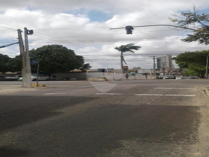 Foto REO660153