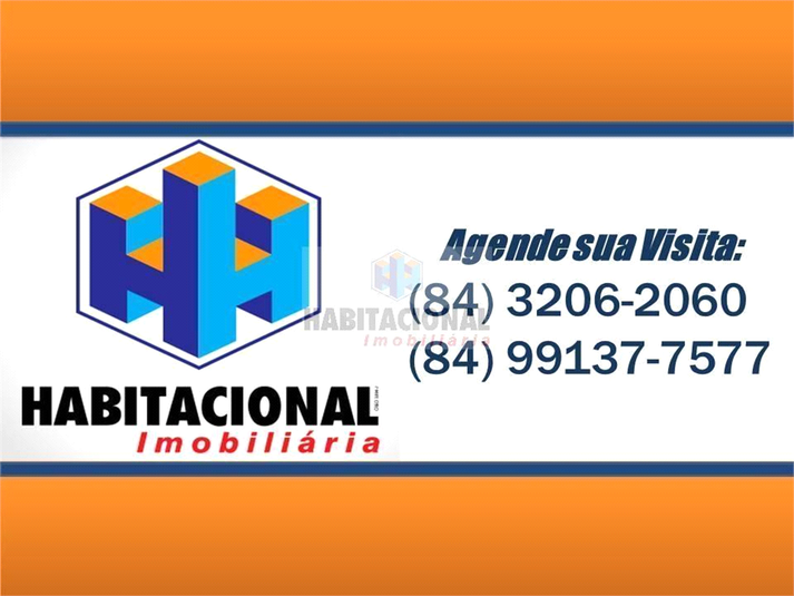 Foto REO660182