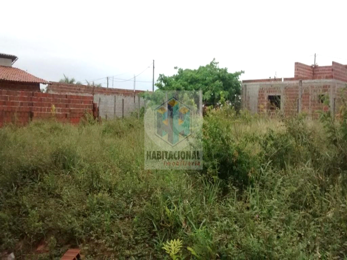 Foto REO660454