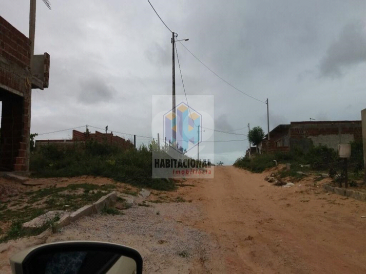Foto REO660454