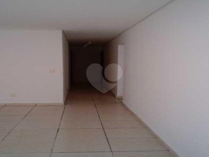 Foto REO660456