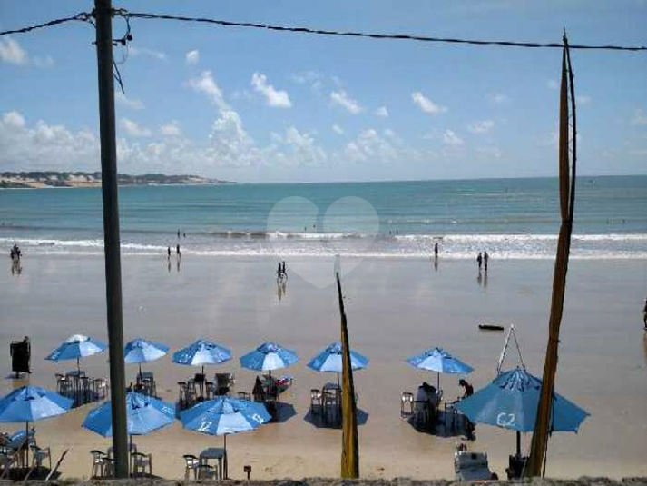 Foto REO660481