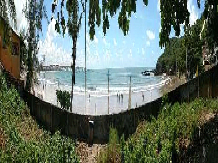Foto REO660481